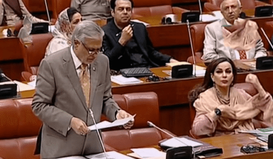 سینیٹ نے پاکستان کو پہلگام حملے سے جوڑنے کے لئے ہندوستان کی بولی کے خلاف قرارداد منظور کی ہے