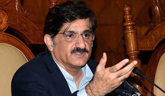 مسلم لیگ-این گورنمنٹ کو گرا دینا نہیں چاہتے ہیں ، لیکن ہم کر سکتے ہیں: سندھ سی ایم