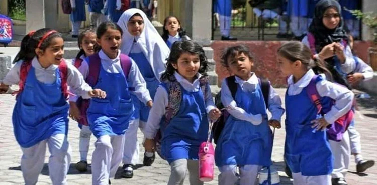اسکول 28 مئی کو کھلے رہیں گے
