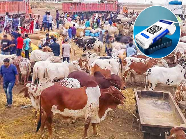 ایس بی پی نے عیدول ادھا سے پہلے ‘گو کیش لیس’ مہم لانچ کی ایکسپریس ٹریبیون