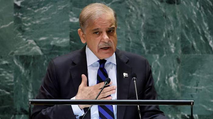ایف او کا کہنا ہے کہ وزیر اعظم شہباز 25-30 مئی سے چار دوستانہ ممالک کا دورہ کریں گے