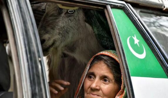 اے جے کے کے رہائشی گھروں میں لوٹتے ہیں ، لیکن بنکروں کو اسٹاک رکھتے ہیں