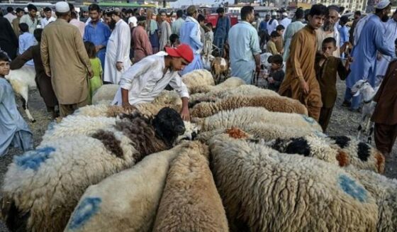 مسلح افراد کراچی میں رکشہ ، قربانی کے جانور چھین لیتے ہیں