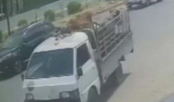 مسلح ڈاکو کراچی میں قربانی کے جانور چوری کرتے ہیں