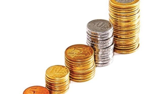 معاشیات سب مراعات کے بارے میں ہے | ایکسپریس ٹریبیون
