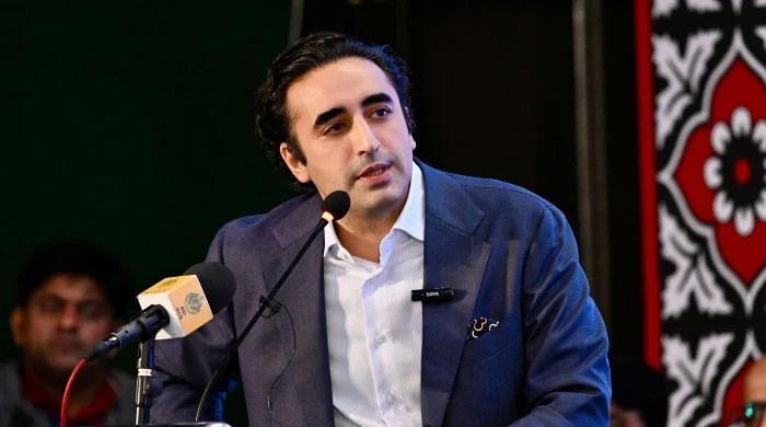 وزیر اعظم شہباز کی درخواست پر بیرون ملک ریاستی سطح کے امن وفد کی قیادت کریں
